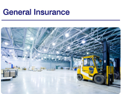 General Insurance
